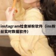 instagram检查掉粉软件（ins粉丝实时数据软件）