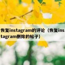 恢复instagram的评论（恢复instagram删除的帖子）