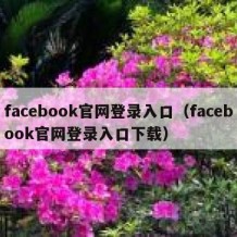 facebook官网登录入口（facebook官网登录入口下载）