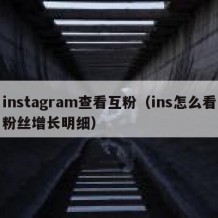 instagram查看互粉（ins怎么看粉丝增长明细）