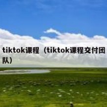 tiktok课程（tiktok课程交付团队）