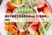 源码下载好了怎么样生成app（下载源码 app）
