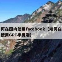 如何在国内使用facebook（如何在国内使用GPT手机端）