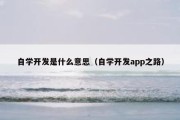 自学开发是什么意思（自学开发app之路）