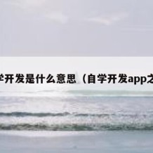 自学开发是什么意思（自学开发app之路）