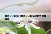 在线crm网站（在线crm网站建站性教育课程）