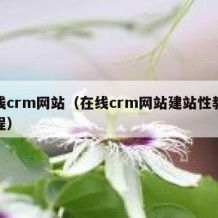 在线crm网站（在线crm网站建站性教育课程）