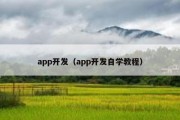 app开发（app开发自学教程）