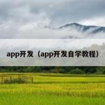 app开发（app开发自学教程）