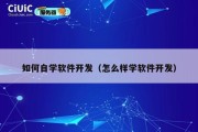 如何自学软件开发（怎么样学软件开发）