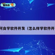 如何自学软件开发（怎么样学软件开发）