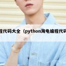 编程代码大全（python海龟编程代码大全）