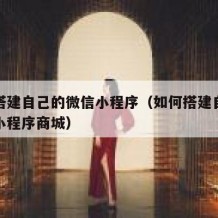 如何搭建自己的微信小程序（如何搭建自己的微信小程序商城）