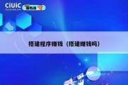搭建程序赚钱（搭建赚钱吗）