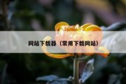 网站下载器（常用下载网站）