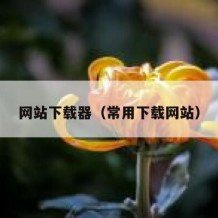网站下载器（常用下载网站）