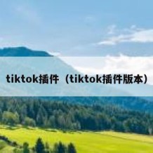 tiktok插件（tiktok插件版本）