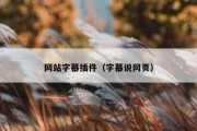 网站字幕插件（字幕说网页）