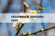 tiktok爆款文案（tiktok的slogan）