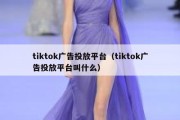 tiktok广告投放平台（tiktok广告投放平台叫什么）