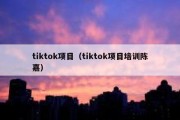 tiktok项目（tiktok项目培训陈嘉）