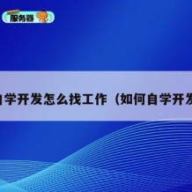 自学开发怎么找工作（如何自学开发）