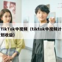 TikTok中视频（tiktok中视频计划收益）