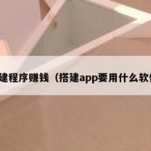 搭建程序赚钱（搭建app要用什么软件）