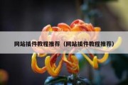 网站插件教程推荐（网站插件教程推荐）
