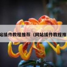 网站插件教程推荐（网站插件教程推荐）