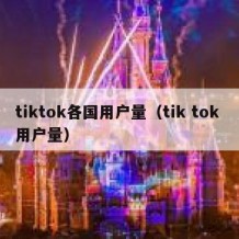 tiktok各国用户量（tik tok 用户量）