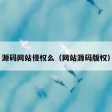 源码网站侵权么（网站源码版权）