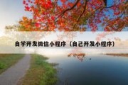 自学开发微信小程序（自己开发小程序）