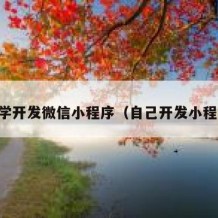 自学开发微信小程序（自己开发小程序）