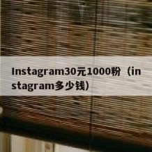 Instagram30元1000粉（instagram多少钱）