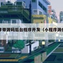 小程序带源码后台程序开发（小程序源代码开发）