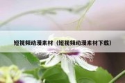 短视频动漫素材（短视频动漫素材下载）