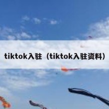 tiktok入驻（tiktok入驻资料）