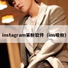 instagram采粉软件（ins吸粉）