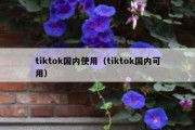 tiktok国内使用（tiktok国内可用）