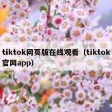 tiktok网页版在线观看（tiktok官网app）