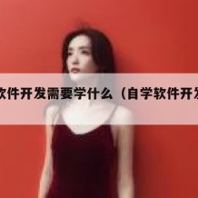 自学软件开发需要学什么（自学软件开发难吗）