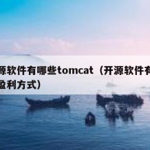 开源软件有哪些tomcat（开源软件有哪些盈利方式）