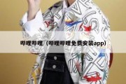 哔哩哔哩（哔哩哔哩免费安装app）