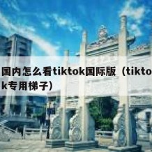 国内怎么看tiktok国际版（tiktok专用梯子）