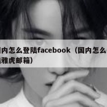 国内怎么登陆facebook（国内怎么登陆雅虎邮箱）