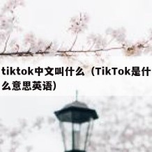 tiktok中文叫什么（TikTok是什么意思英语）