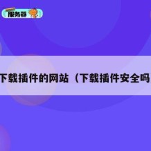 下载插件的网站（下载插件安全吗）