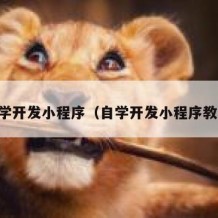 自学开发小程序（自学开发小程序教程）