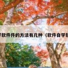 自学软件件的方法有几种（软件自学软件）